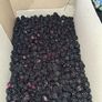 Blackberries Image 2