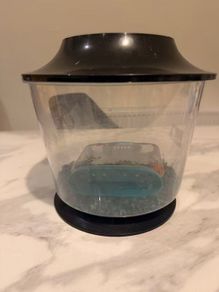 Small Fish Tank