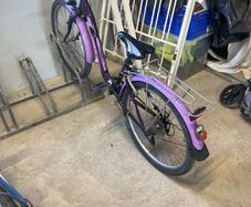 Girls Bike