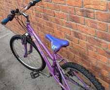 Kids' Junior Mountain Bike