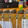 ping gle ladies irons Image 2