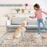 Washable Rugs for Living Room 160x230cm Non-Slip Soft Bedroom Rugs Thin Distressed Carpet Rug Low Profile Floor Rug for Office Bathroom Dinning Room Playroom(Beige) Image 5