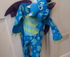 Little Dragon costume