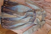 elsa dress costume