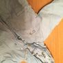 Name It 6-9 mth Boys Coat Image 3