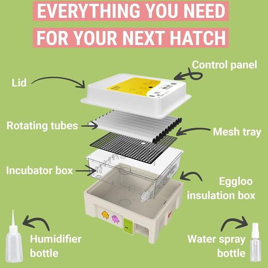 36 Egg Incubators for Hatching Eggs  Incubator for 36 eggs with automatic egg turner:READY FOR COLLECTION