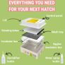 36 Egg Incubators for Hatching Eggs  Incubator for 36 eggs with automatic egg turner:READY FOR COLLECTION Image 4