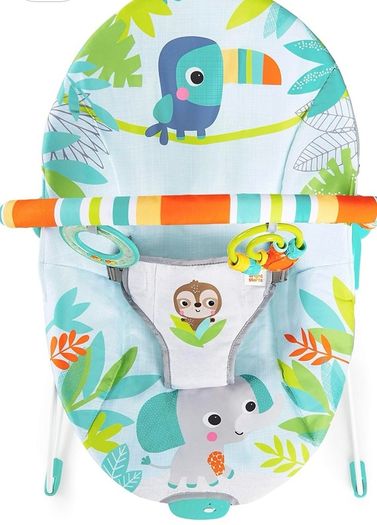 Soothing Baby Bouncer