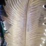 unusual gold leaf mirror top side table Image 5