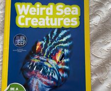 Weird Sea Creatures - National Geographic Kids