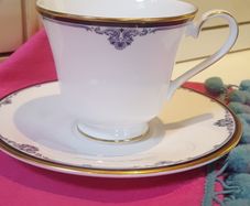 Royal Doulton "princton" Cup And Saucer