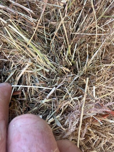 Quality Hay