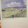 On Carrickmines Hill Image 3