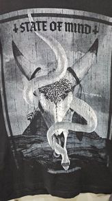 mens t-shirt