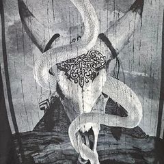 mens t-shirt