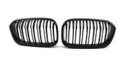 BMW F20 kidney grills
