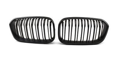 BMW F20 kidney grills