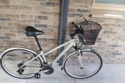 ladies bike( can deliver)
