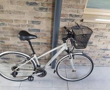 ladies bike( can deliver)