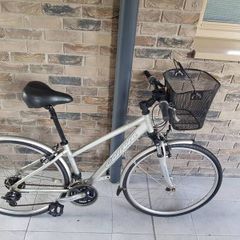 ladies bike( can deliver)