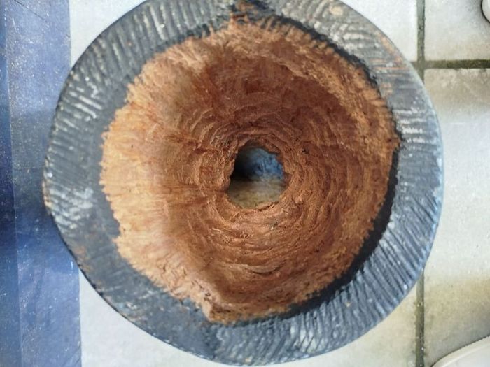 Bongo Drum