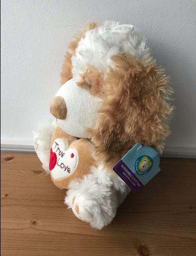 valentines gift teddy