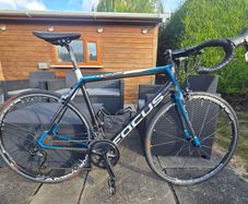 focus cayo carbon frame