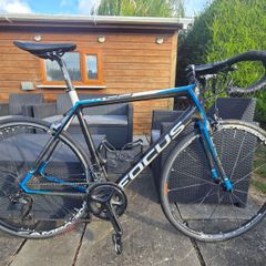 focus cayo carbon frame