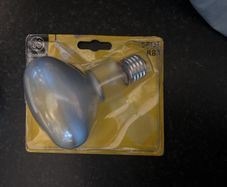 free bulb-BRAND NEW