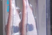 Savage Gear 4D Herring Big Shad 25cm