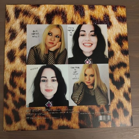 Vulpynes - Us against them