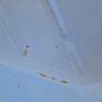 Shower tray used Image 10