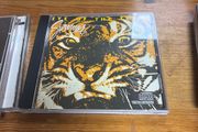Survivor - Eye Of The Tiger