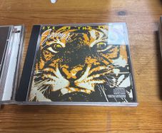 Survivor - Eye Of The Tiger