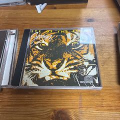 Survivor - Eye Of The Tiger