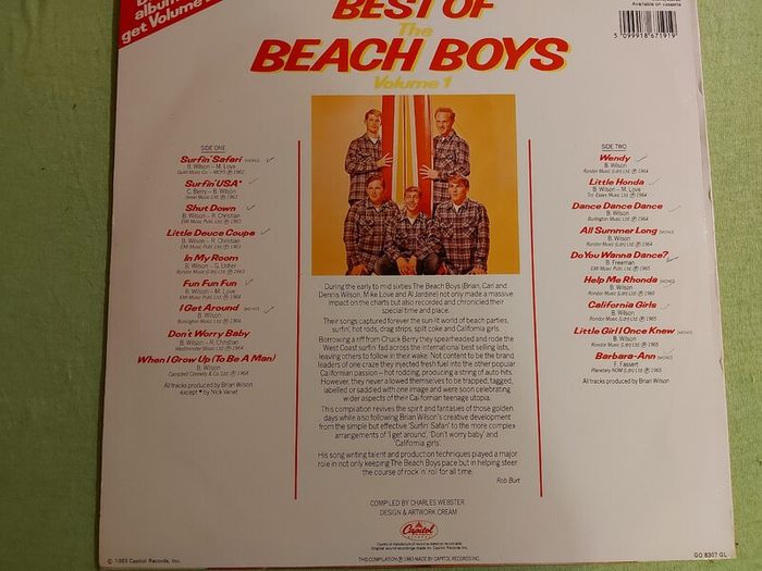 The Beach Boys - The Best of - Volumes 1 & 2 - Vinyl Records + Hundreds More