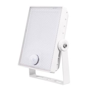 White 20 Watt Floodlight with Sensor
