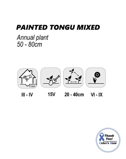 (S) Painted Tongue Mixed Seeds 0.5g ( 185387)