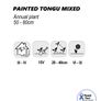 (S) Painted Tongue Mixed Seeds 0.5g ( 185387) Image 2