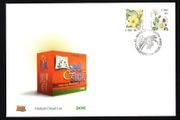 2004 Ireland Sixth Definitive Series Flowers of Ireland 48c Self-Adhesive Coils (Daisy &amp; Primrose) An Post First Day Cover (FDC)