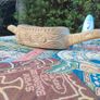 19th Century Polynesian Sea turtle carved canoe Image 5