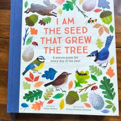 I am the Seed that Grew the Tree