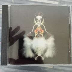 Bola - Fyuti CD