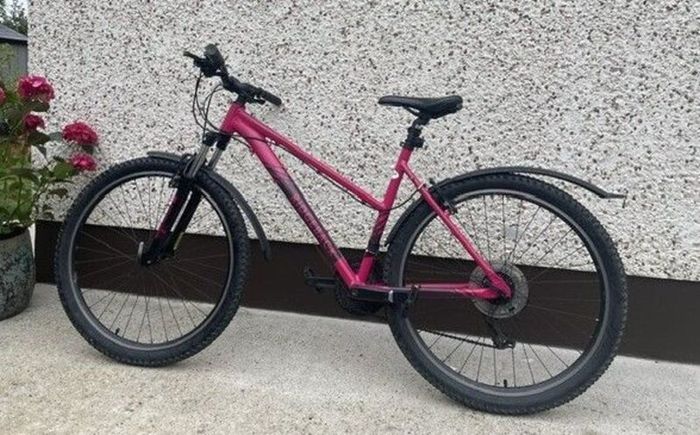 Ladies' Mountain Bike