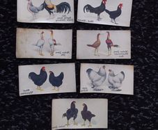 John Player and Sons Cigarette Transfer Cards - Poultry Series - 1931