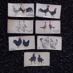 John Player and Sons Cigarette Transfer Cards - Poultry Series - 1931
