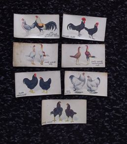 John Player and Sons Cigarette Transfer Cards - Poultry Series - 1931
