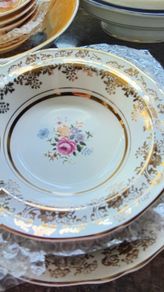 Alfred Meakin Jerome Hand Painted