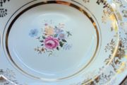 Alfred Meakin Jerome Hand Painted