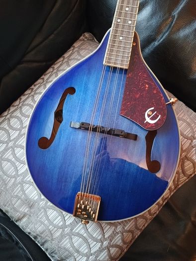 mandolin